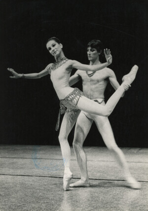 1982_09_04 Musicarchitettura Canada '82 - I Solisti del National Ballet of Canada ann 1487 inv 1363 vol 7.tif