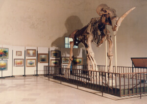 1984_07_09 Musicarchitettura '84 - Mostra 'La musica nell'arte figurativa' ann 1739 inv 5673 vol 12.tif