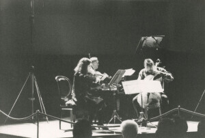 1993_11_28 Il Trio di Vienna inv 2724 vol 15.tif