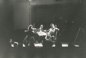 1993_11_28 Il Trio di Vienna inv 2726 vol 15.tif