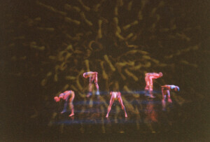 2000_04_15 I Momix inv 3843 vol 19.tif