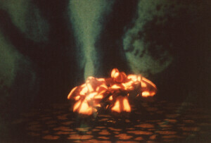 2000_04_15 I Momix inv 3846 vol 19.tif