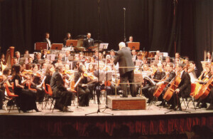 2003_01_26 Orchestra Città Aperta inv 6596 vol 21.tif